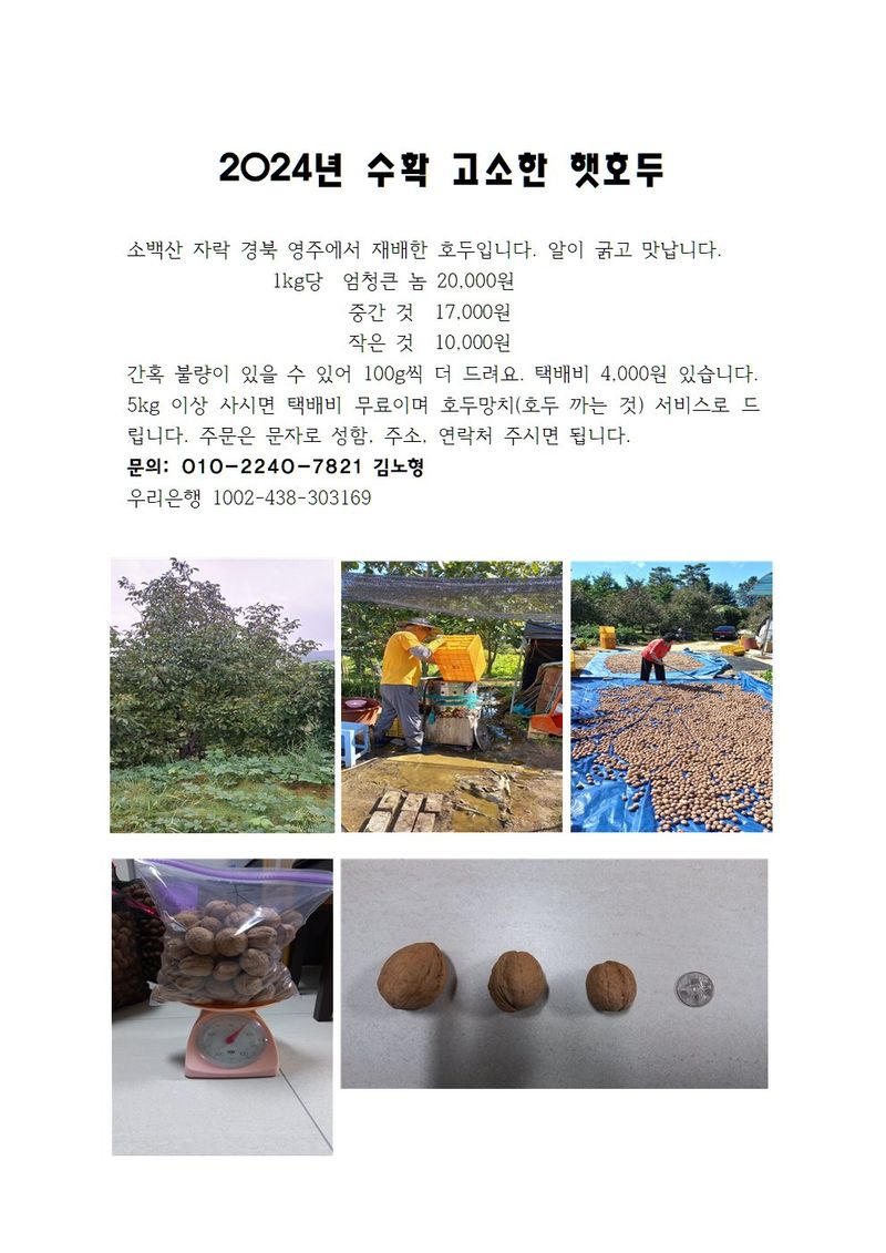 김노형님의 장터 판매 상품 [호두 1kg] 첨부 사진