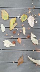 팜모닝 자유주제·자유게시판 게시글 이미지