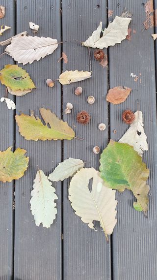 이경영 님의 자유주제 · 자유게시판 작성글 사진