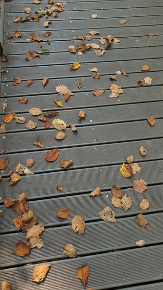 이경영 님의 자유주제 · 자유게시판 작성글 사진