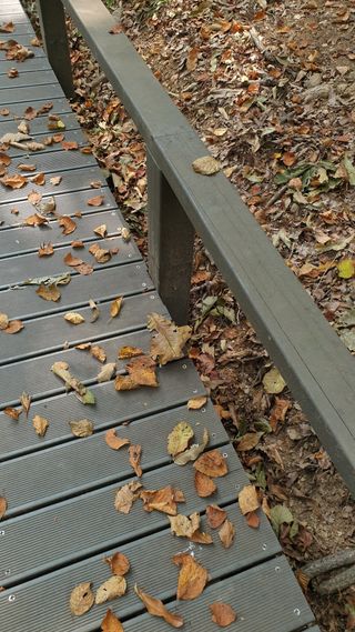 이경영 님의 자유주제 · 자유게시판 작성글 사진