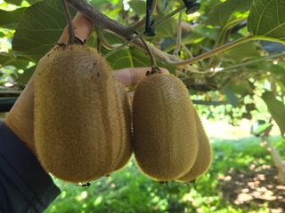 노고단님의 자유주제 · 자유게시판 작성글 사진