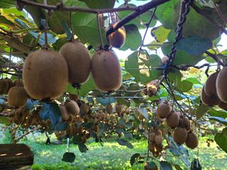 노고단님의 자유주제 · 자유게시판 작성글 사진