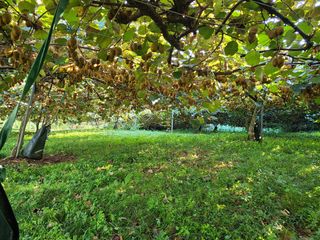 노고단님의 자유주제 · 자유게시판 작성글 사진