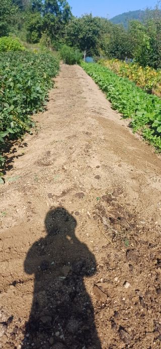 초보퍼머5도2촌준비님의 자유주제 · 자유게시판 작성글 사진