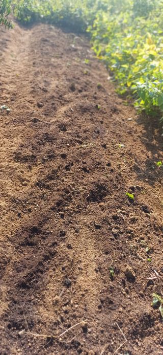 초보퍼머5도2촌준비님의 자유주제 · 자유게시판 작성글 사진