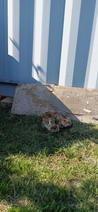 초보퍼머5도2촌준비님의 자유주제 · 자유게시판 작성글 사진