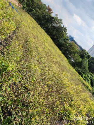 정병무님의 자유주제 · 자유게시판 작성글 사진