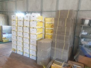 유영출님의 감 · 영농일지 작성글 사진