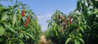 정진해님의 자유주제 · 자유게시판 작성글 사진