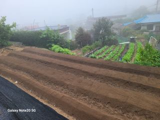 이윤미님의 자유주제 · 자유게시판 작성글 사진