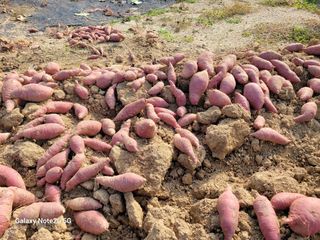 이윤미님의 자유주제 · 자유게시판 작성글 사진