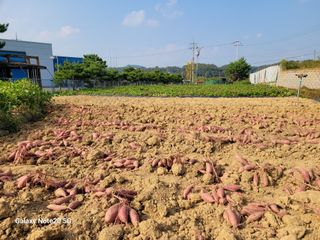 이윤미님의 자유주제 · 자유게시판 작성글 사진