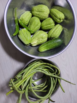 원빈님의 자유주제 · 자유게시판 작성글 사진