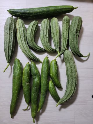 원빈님의 자유주제 · 자유게시판 작성글 사진