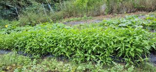 원빈님의 자유주제 · 자유게시판 작성글 사진