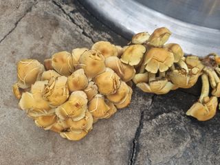 아쌰야로~님의 자유주제 · 사진전 작성글 사진