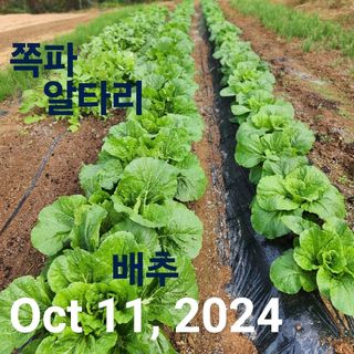 옥수수14789님의 자유주제 · 자유게시판 작성글 사진