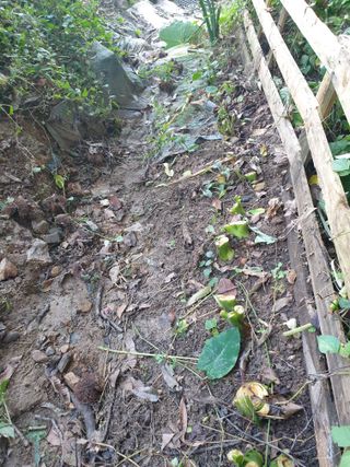 샤이니바다님의 기타작물 · 영농일지 작성글 사진