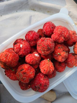 금동이네님의 자유주제 · 자유게시판 작성글 사진