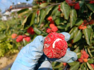 금동이네님의 자유주제 · 자유게시판 작성글 사진