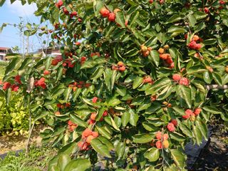 금동이네님의 자유주제 · 자유게시판 작성글 사진