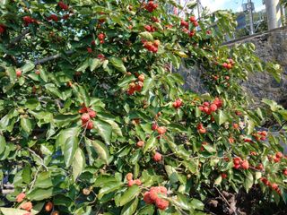 금동이네님의 자유주제 · 자유게시판 작성글 사진