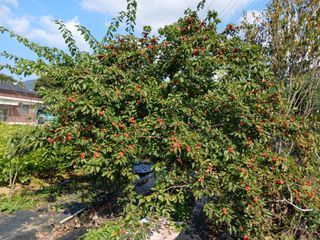 금동이네님의 자유주제 · 자유게시판 작성글 사진