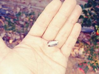 이응혁님의 자유주제 · 자유게시판 작성글 사진