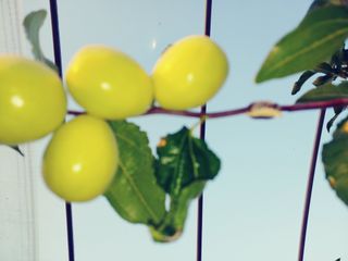 이응혁님의 자유주제 · 자유게시판 작성글 사진