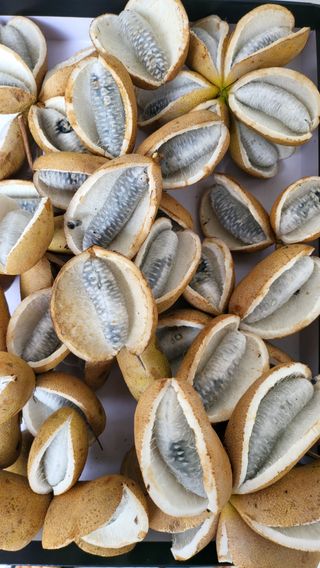 초보님의 자유주제 · 자유게시판 작성글 사진