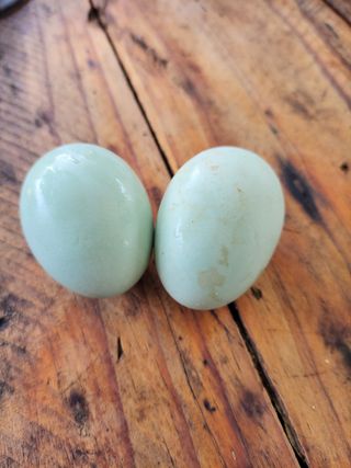 정택님의 자유주제 · 자유게시판 작성글 사진