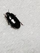 팜모닝 자유주제·자유게시판 게시글 이미지