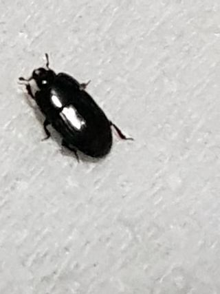 최희경님의 자유주제 · 자유게시판 작성글 사진