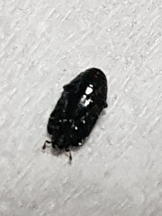 최희경님의 자유주제 · 자유게시판 작성글 사진