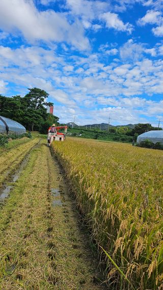 변영수 님의 자유주제 · 자유게시판 작성글 사진