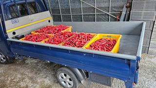 변영수 님의 자유주제 · 자유게시판 작성글 사진