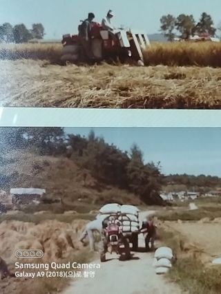 알 수 없음님의 [팜춘문예] 짧은 시 쓰기| 2024 · 참여글 작성글 사진