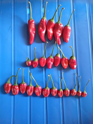 인생은 소풍처럼님의 자유주제 · 자유게시판 작성글 사진