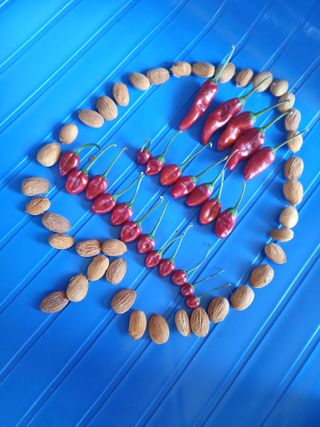 인생은 소풍처럼님의 자유주제 · 자유게시판 작성글 사진