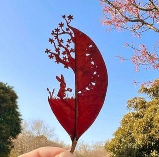 인생은 소풍처럼님의 [팜춘문예] 짧은 시 쓰기| 2024 · 참여글 작성글 사진