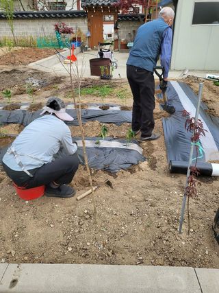 박진만님의 [팜춘문예] 짧은 시 쓰기| 2024 · 참여글 작성글 사진