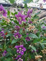 팜모닝 자유주제·자유게시판 게시글 이미지