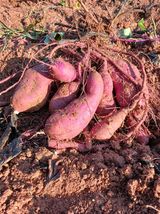 팜모닝 농기구 관리법을 공유해주세요·참여글 게시글 이미지