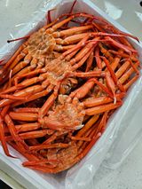 팜모닝 자유주제·자유게시판 게시글 이미지