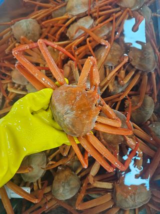 노가네수산님의 자유주제 · 자유게시판 작성글 사진