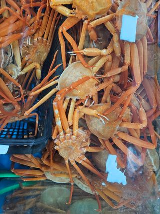 노가네수산님의 자유주제 · 자유게시판 작성글 사진