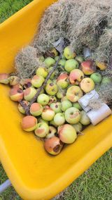 팜모닝 · 게시글 이미지