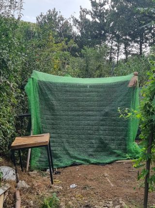 별빛을쫒는자님의 버섯 · 영농일지 작성글 사진