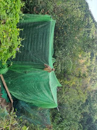 별빛을쫒는자님의 버섯 · 영농일지 작성글 사진